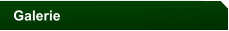 Galerie